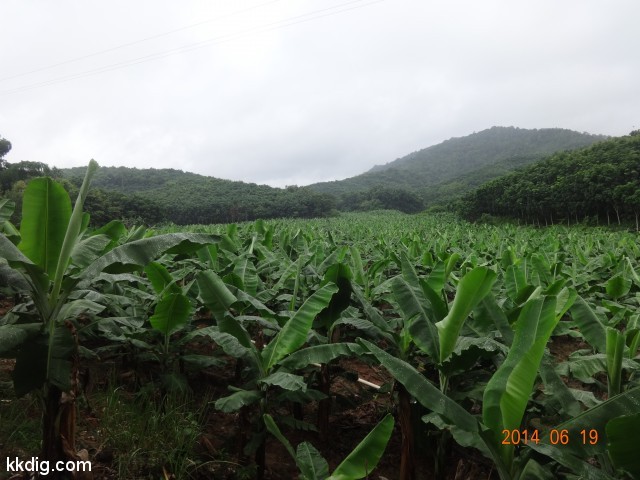 DSC07212