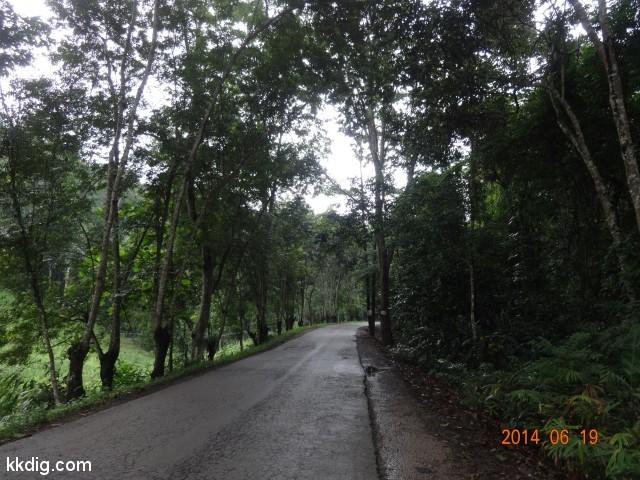 DSC07222