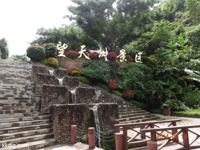 DSC07278