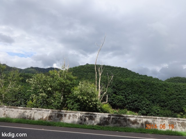 DSC07371