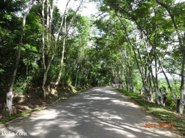 DSC07473