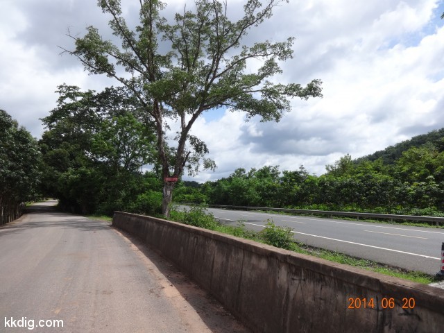 DSC07504