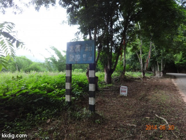 DSC07513