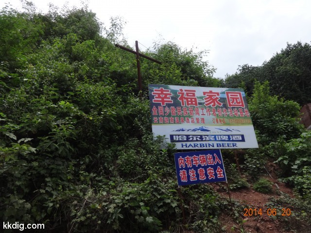 DSC07529