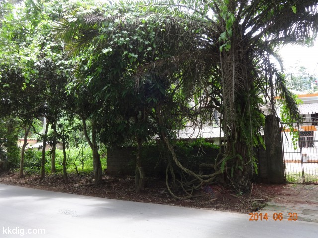 DSC07546