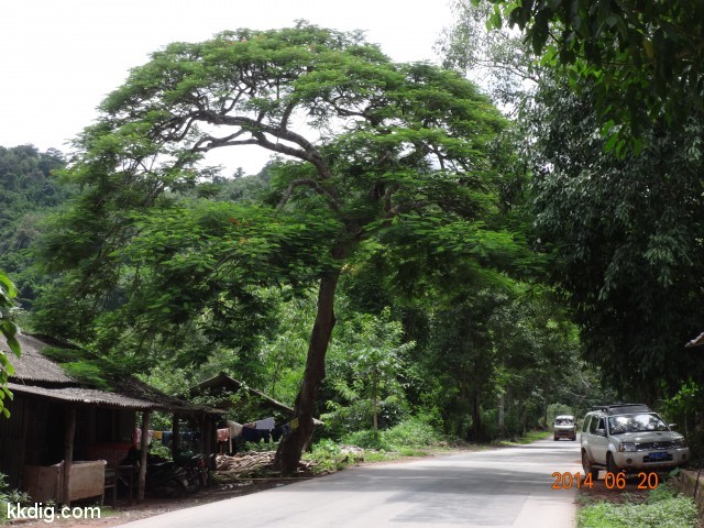 DSC07552