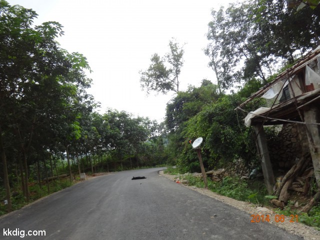DSC07665
