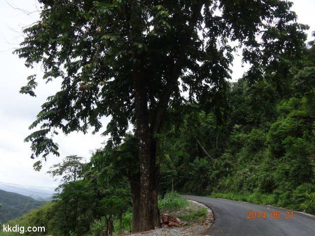 DSC07671