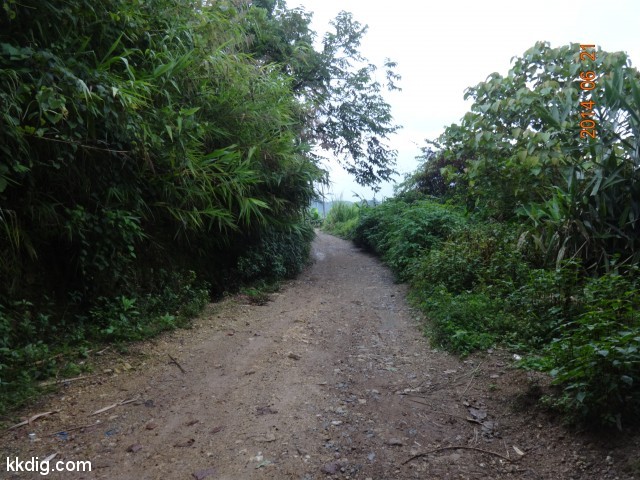 DSC07684