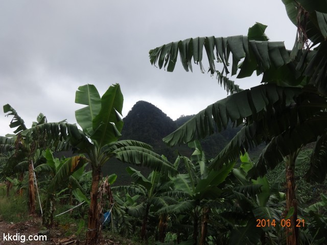 DSC07688