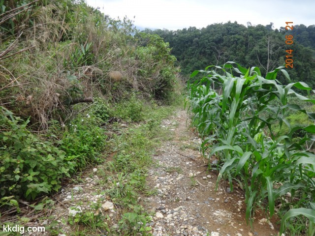 DSC07692