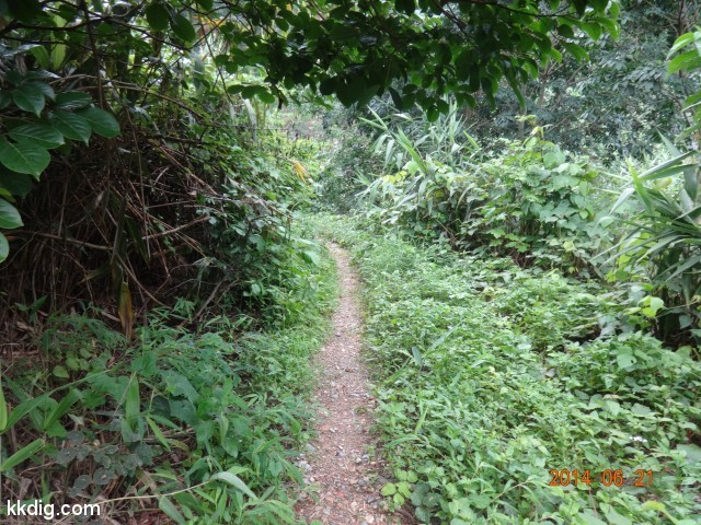 DSC07694
