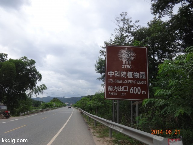 DSC07731