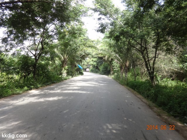 DSC07782