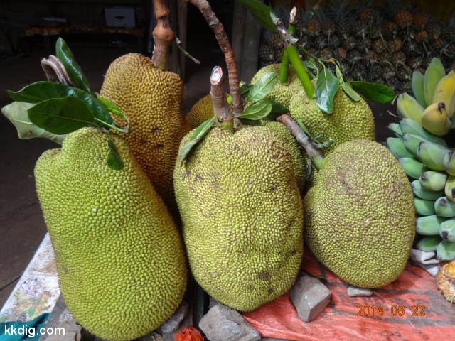 DSC07790