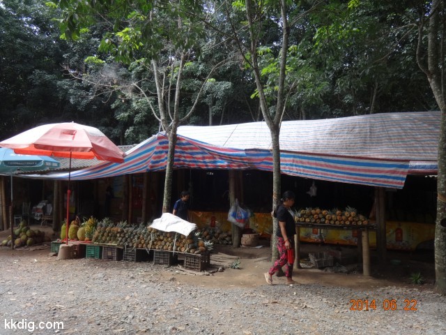 DSC07791
