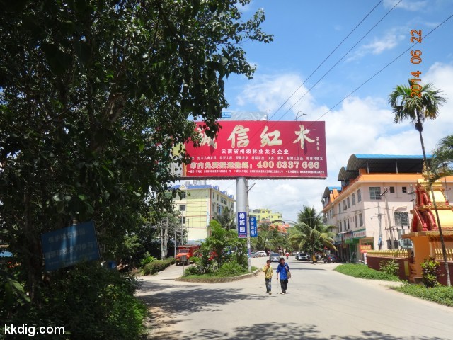 DSC07806