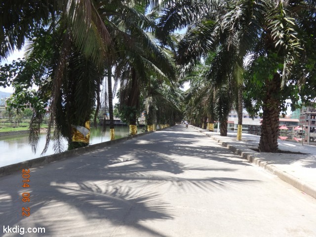 DSC07808