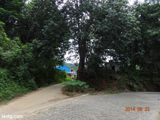 DSC07839