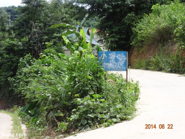 DSC07842