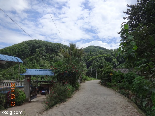 DSC07853