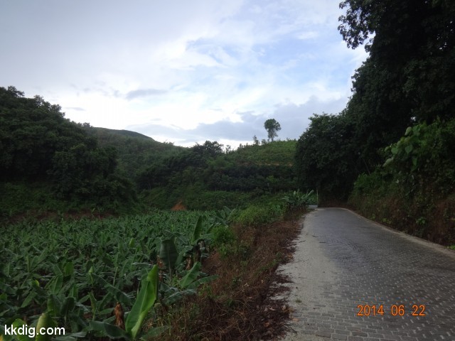 DSC07860