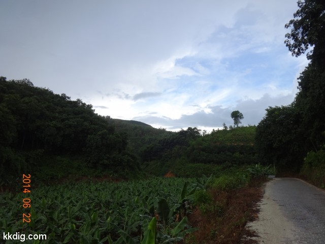 DSC07861