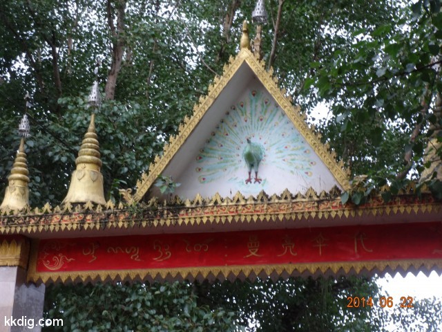 DSC07878
