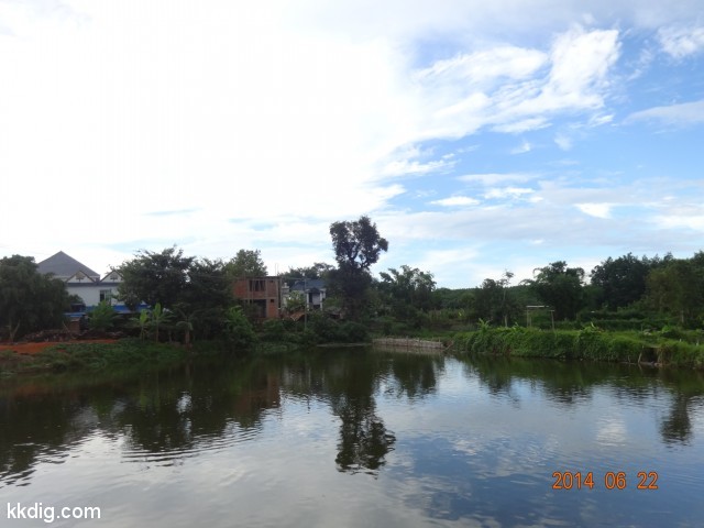 DSC07884