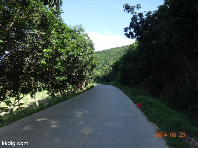 DSC07929