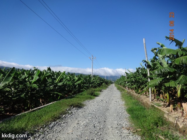 DSC07934