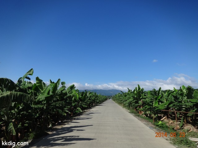DSC07936
