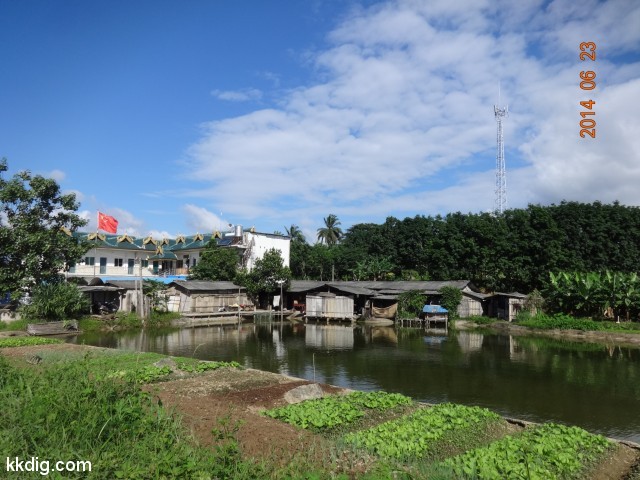 DSC07937