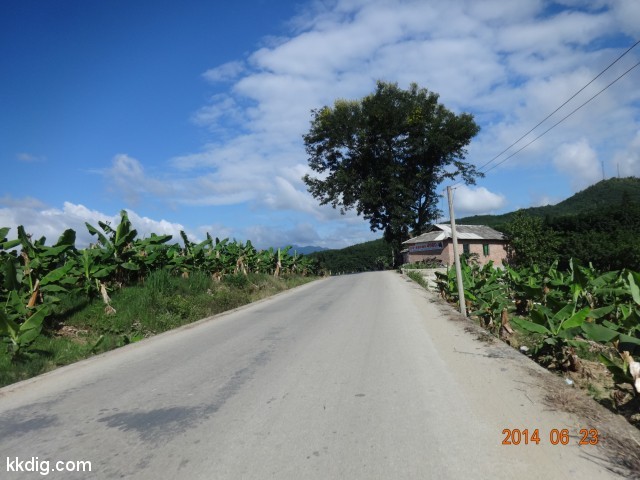 DSC07944