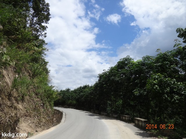 DSC07986