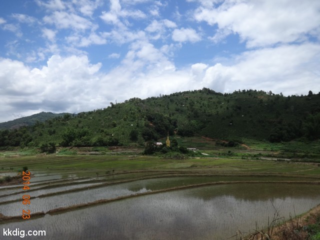 DSC08005
