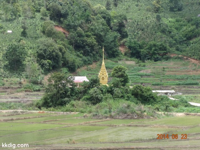 DSC08006