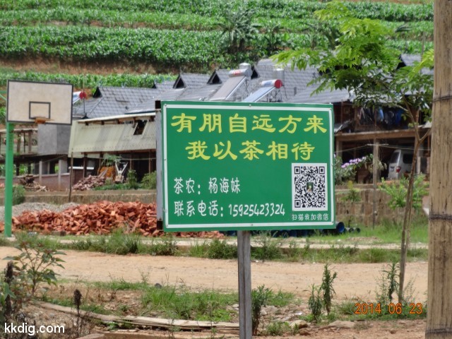DSC08007