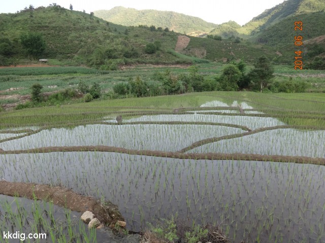 DSC08078