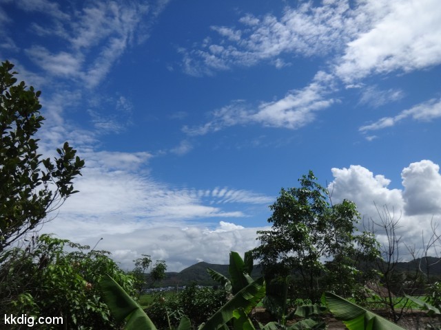 DSC08160