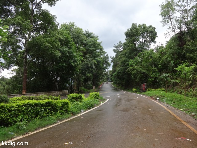 DSC08204
