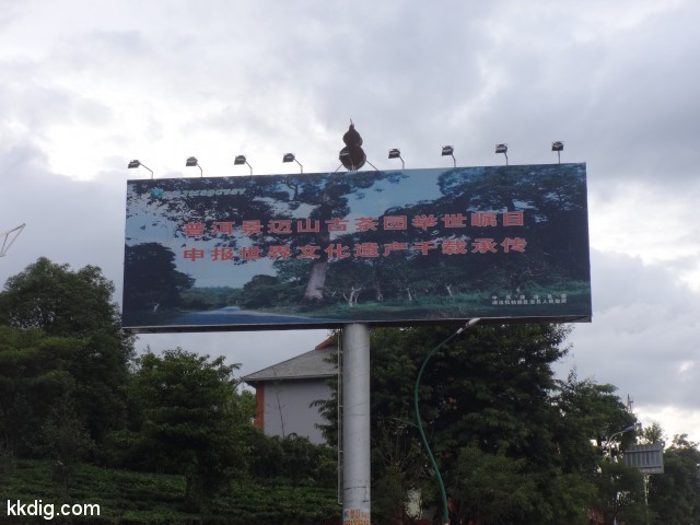 DSC08243