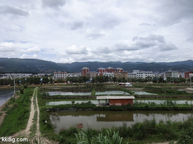 DSC08283