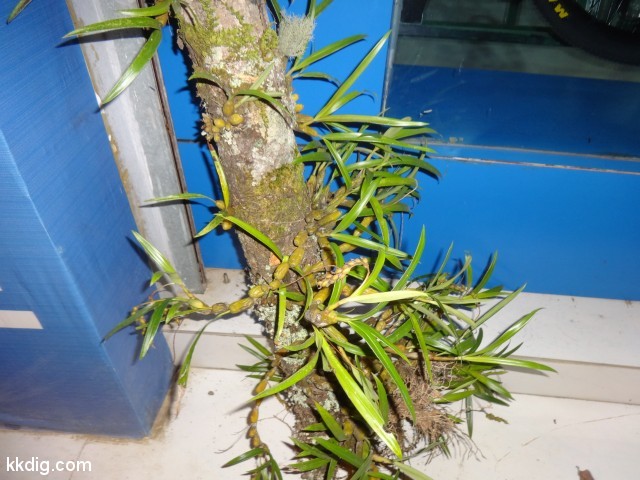 DSC08306