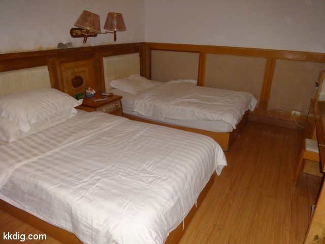 DSC08319