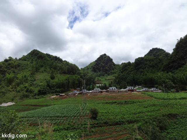 DSC08369