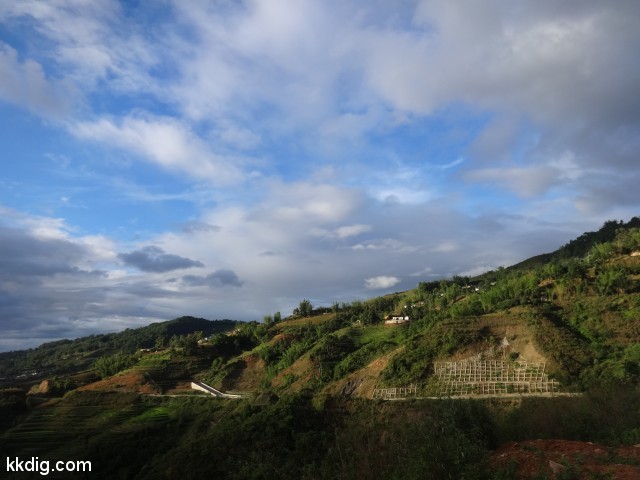 DSC08451