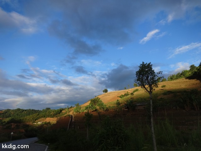 DSC08454