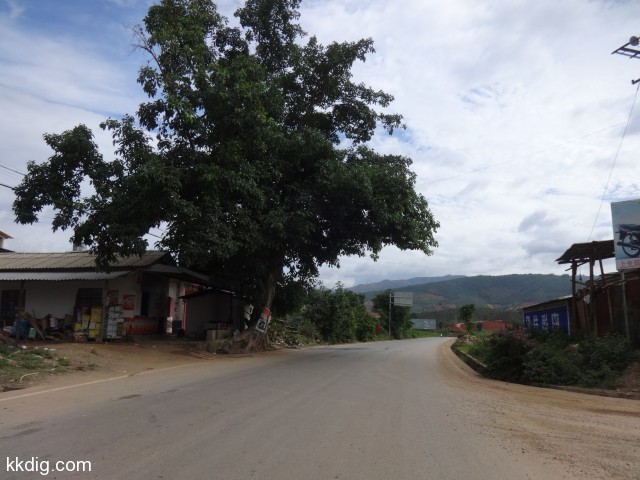 DSC08511