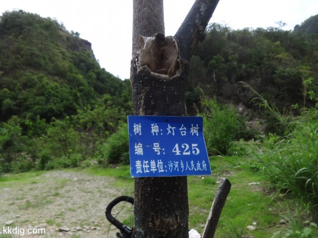 DSC08564